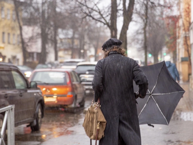 Экстренное оповещение о усилении ветра в Ярославле | Источник: Александра Мамонтова / 76.RU
