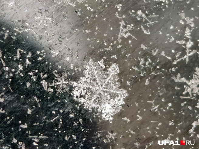 Кристаллики воды слиплись | Источник: Булат Салихов / UFA1.RU
