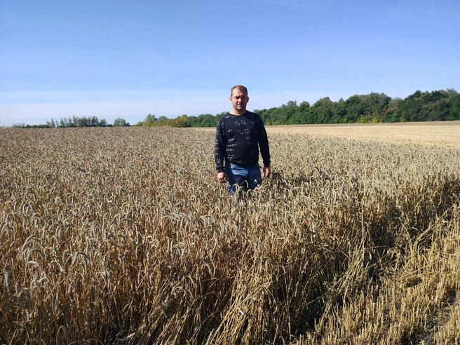 Братья взяли землю с сорняками и бурьяном и превратили ее в плодородное поле. На фото — Петр Окунев и пока еще живая пшеница | Источник: Александр Окунев