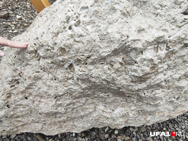 Очевидно, раньше тут было дно морское | Источник: Марина Каримова / UFA1.RU