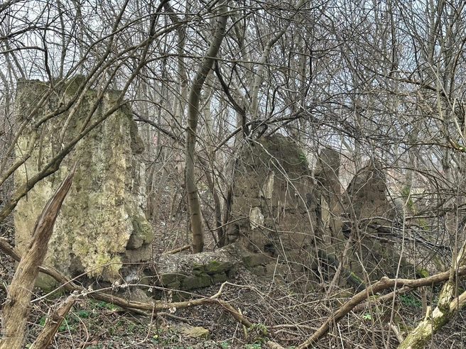 Развалины дома или сарая Виктора Баранова | Источник: Габриелла Захарова / 26.RU