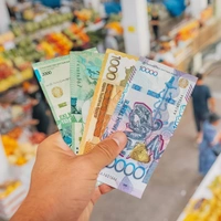 «Пришел за хлебом, ушел с тремя пакетами»: россиянин сравнил цены на рынке Казахстана с российскими