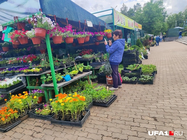 Людей, однако, не сильно много | Источник: Марина Каримова / UFA1.RU