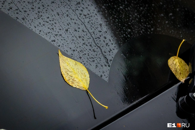 Дожди могут пойти в пятницу | Источник: Владислав Лоншаков / E1.RU