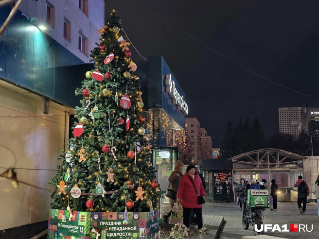 Источник: Булат Салихов / UFA1.RU