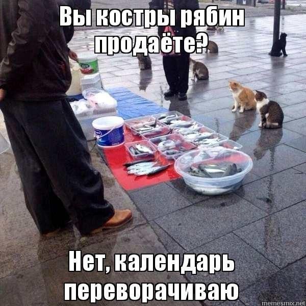 Источник: Соцсети