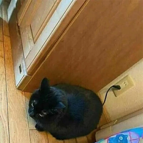 Источник: соцсети