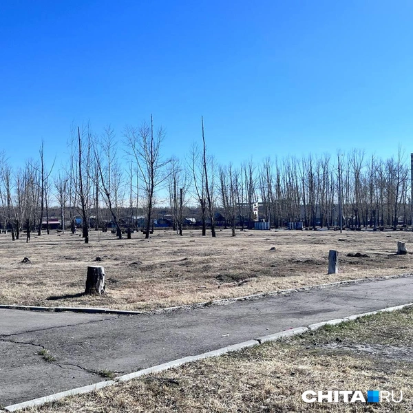 Источник: Александр Хамраев / CHITA.RU