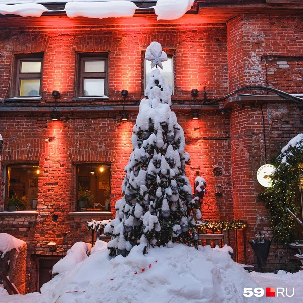 В центре дворика поставили наряженную елку, но ее засыпало снегом | Источник: Тимофей Калмаков / 59.RU