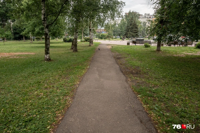 Дорожка от центра парка в сторону спортивной площадки | Источник: Александр Куренной / 76.RU