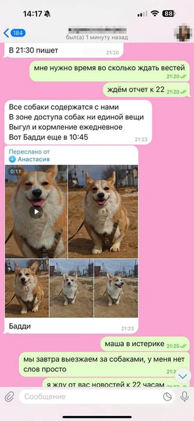 Но вскоре Мария не смогла участвовать в разговоре из-за нахлынувших чувств | Источник: Родион Проводин