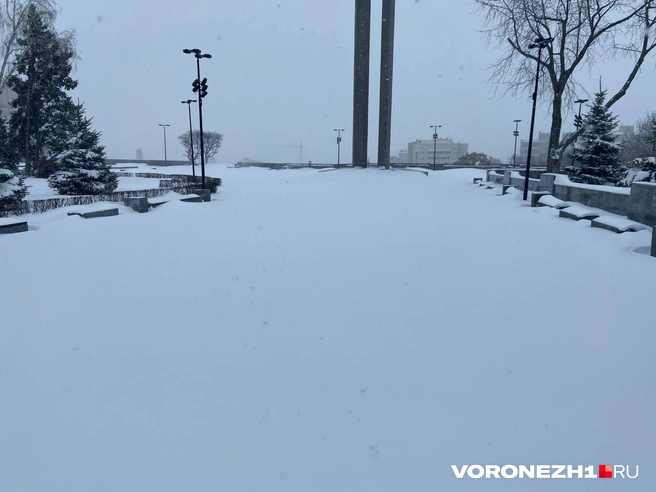 Источник: Дмитрий Волгин / Voronezh1.ru