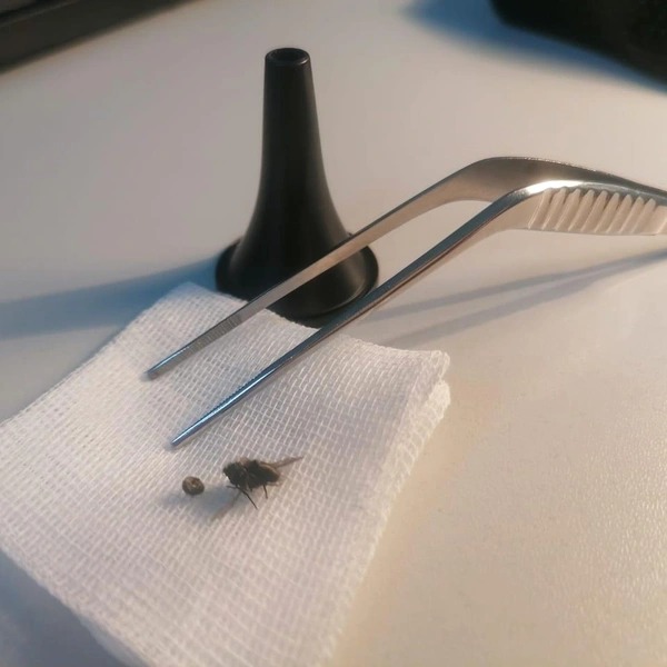 Источник: Ганеева Эльвира