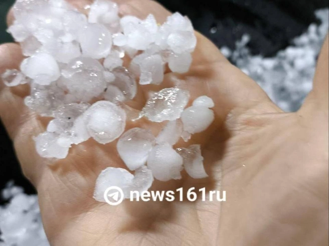 Источник: news161ru / t.me