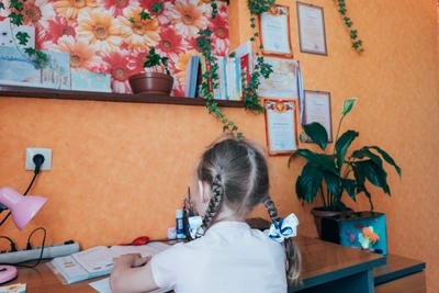 Курган: младшеклассники второй смены на дистанте из-за мороза