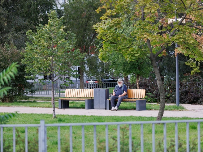 Удивительно, но на проспекте Металлургов удалось сохранить даже часть взрослых деревьев, а не вырубить все, что толще прутика | Источник: Алексей Волхонский / V1.RU
