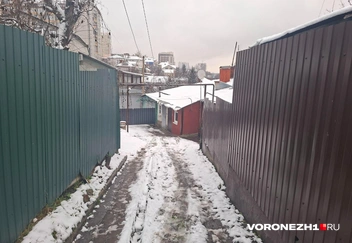 Источник: Алёна Воропаева / Voronezh1.ru