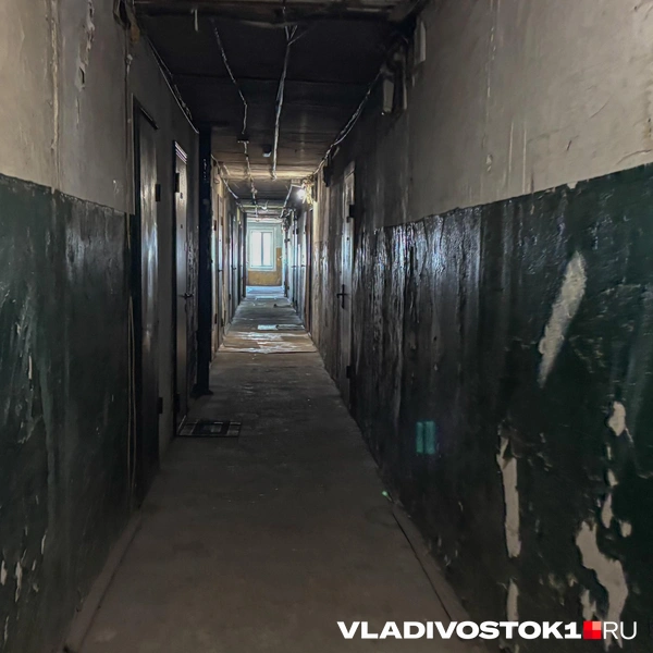 Источник: Елена Буйвол / VLADIVOSTOK1.RU