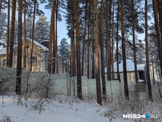 Вид на поселок Серебряный бор, откуда пропал мальчик | Источник: NGS24.RU