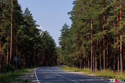 Пожароопасный сезон в Тюменской области начнется 6 апреля 2026 года