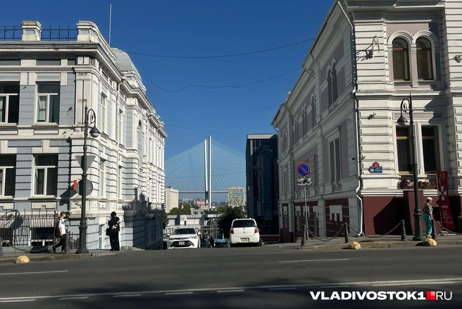 Что из этого в итоге одобрят, а что нет — неясно | Источник: Елена Буйвол / VLADIVOSTOK1.RU