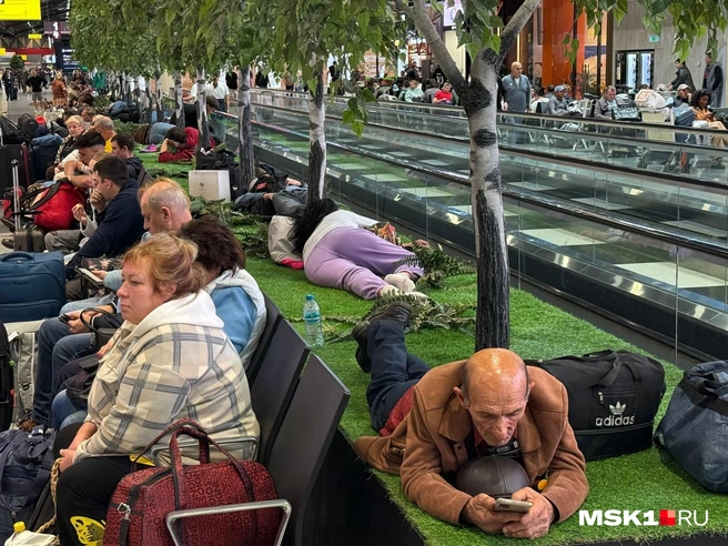Обстановка в аэропорту Шереметьево | Источник: Артем Устюжанин / MSK1.RU