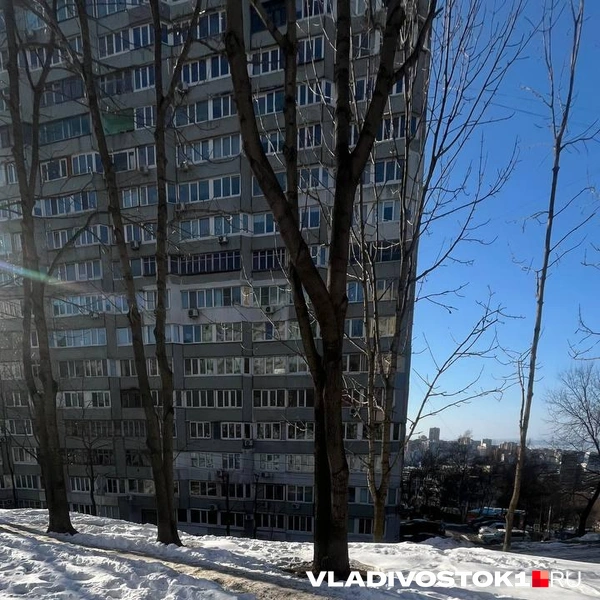 Источник: Елена Буйвол / VLADIVOSTOK1.RU