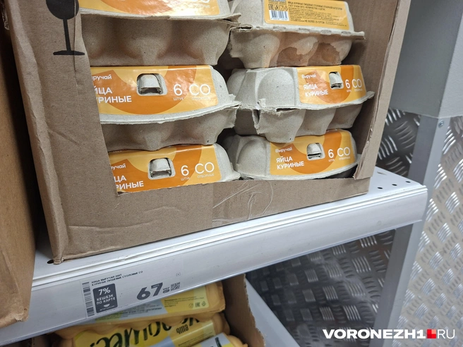 Источник: Алёна Воропаева / Voronezh1.ru