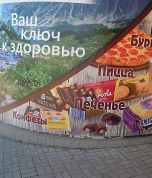 20 картинок недели и белки, которые на самом деле не впали в спячку