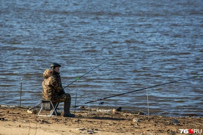 Ярославская область ввела новые водоохранные зоны