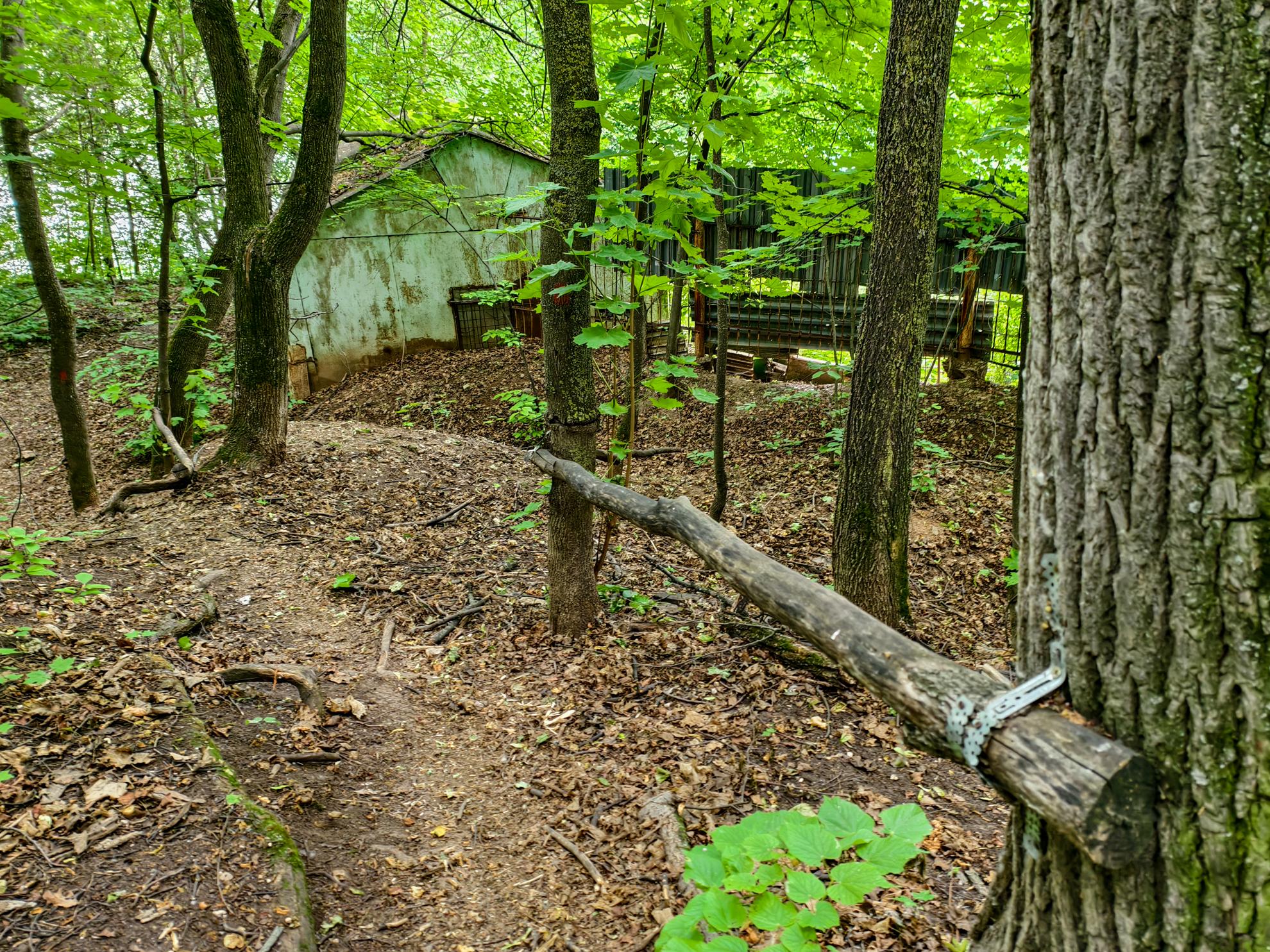 Как здорово, что все мы здесь: смотрим, что стало с турбазой за ГДК, где собирались барды