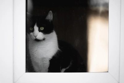 Погода в Иркутске в воскресенье после метели