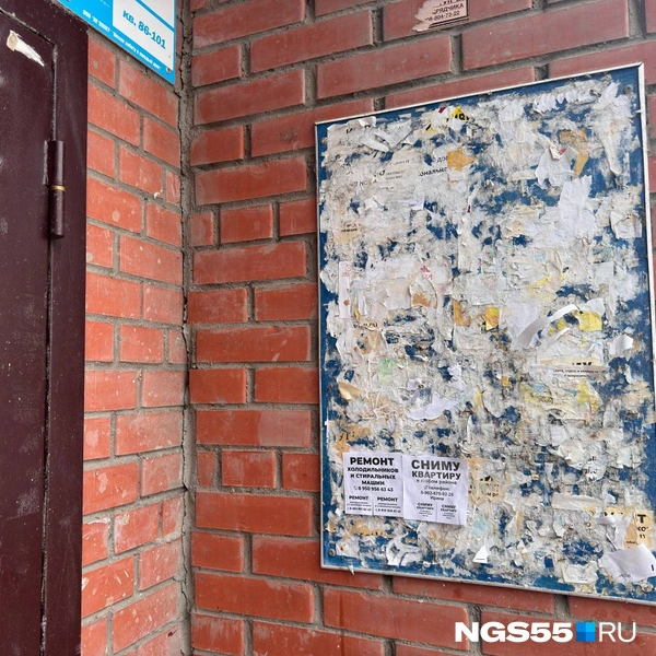 Все объявления отрывают | Источник: NGS55.RU