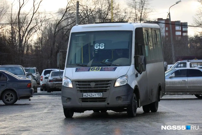 «Газелисты» уверены, что нужны городу | Источник: Евгений Софийчук / NGS55.RU 