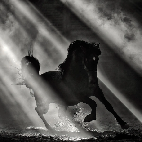 Источник: Diane Bliessen / International Photography Awards 2025