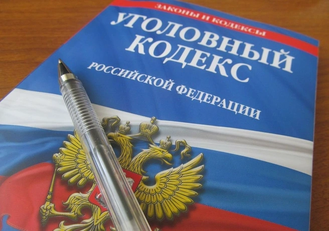 Еще один кандидат в депутаты облдумы скрыл судимость | ya62.ru