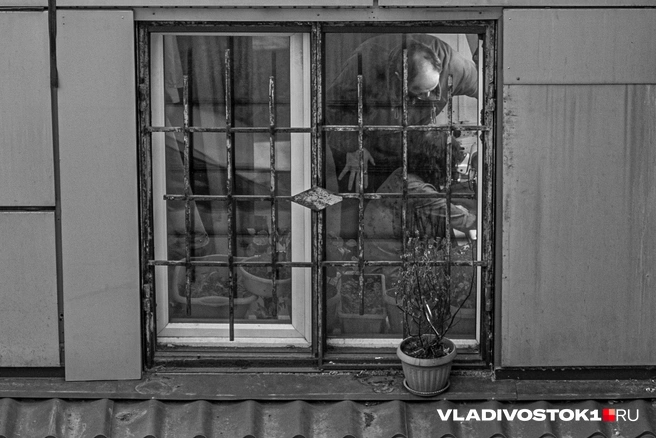 Источник: Елена Буйвол / VLADIVOSTOK1.RU