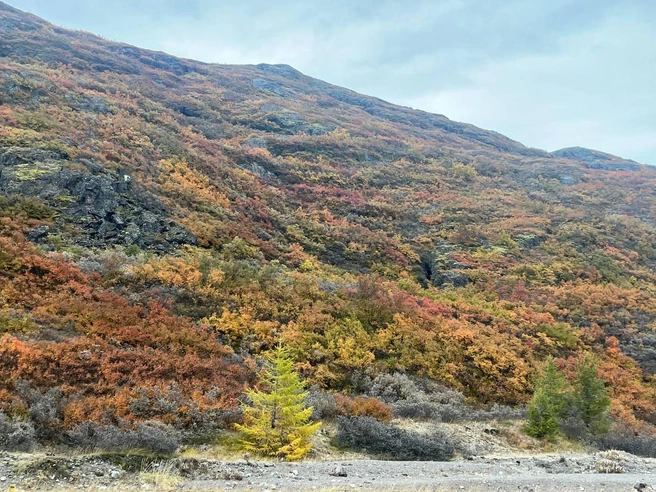 Не тронутая цивилизацией природа Гренландии | Источник: Дмитрий Старцев