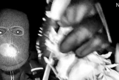 Похищение Нэнси Гатри: подозреваемый 'подготовился'