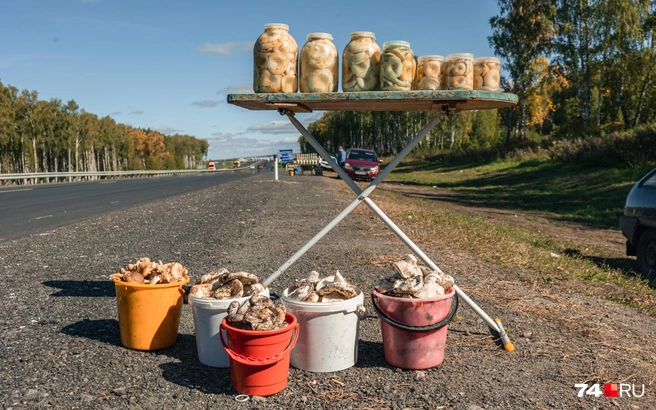 Первая волна началась в июне  | Источник: Наталья Лапцевич / 74.RU