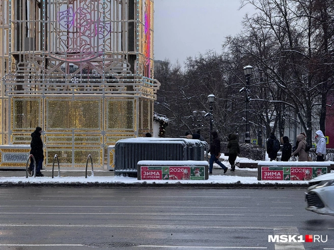 Источник: Дмитрий Толстошеев / MSK1.RU