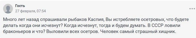 Источник: 161.RU