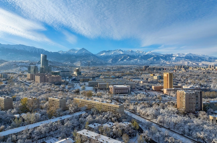 Источник: MaxZolotukhin/Shutterstock/Fotodom.ru