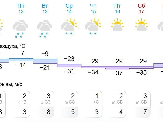 С приходом сильных морозов снегопады прекратятся. | Источник: gismeteo.ru