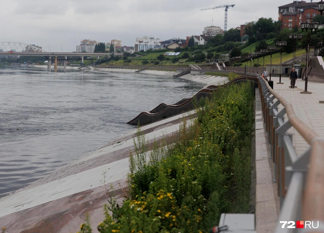 Вода подходит ближе ко второму уровню. Волнуетесь за цветочные клумбы? | Источник: Ирина Шарова / 72.RU