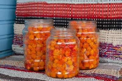 В Поморье создадут производство по добыче диких ягод