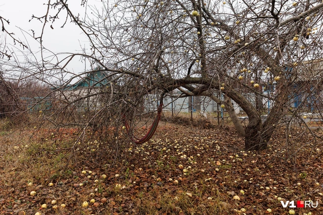 Нина надеялась, что сын вернется и будет здесь жить со своей семьей | Источник: Алексей Волхонский / V1.RU