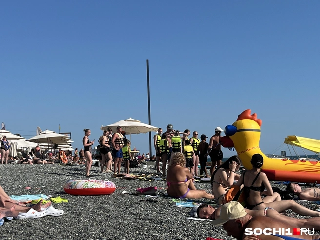 Следующая партия готова к отплытию | Источник: Анна Грицевич / SOCHI1.RU