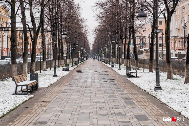 Пятничный снег быстро растает | Источник: Тимофей Калмаков / 59.RU