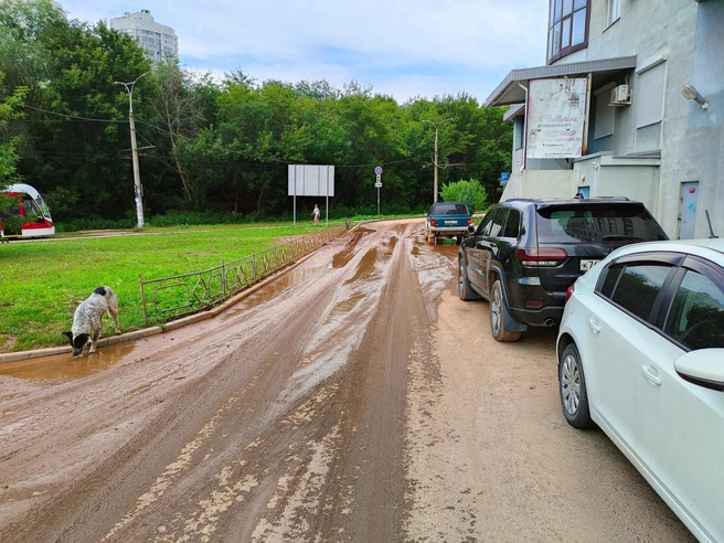 Автор обращения показал, как сейчас выглядит пострадавший от утечки двор | Источник: Алекс Засташков / VK.com